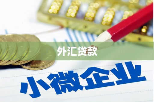 延安外汇贷款