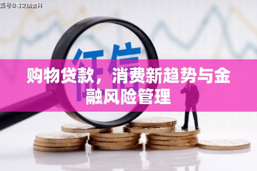 延安购物贷款，消费新趋势与金融风险管理