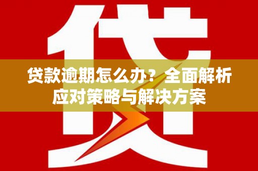 延安贷款逾期怎么办？全面解析应对策略与解决方案