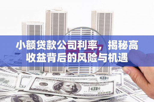 延安小额贷款公司利率，揭秘高收益背后的风险与机遇