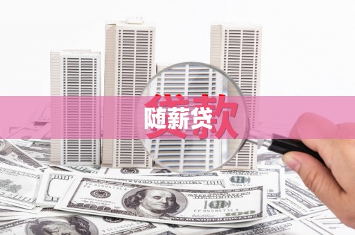 延安随薪贷