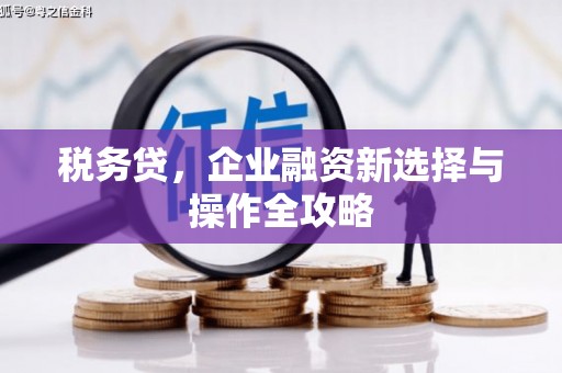 延安税务贷，企业融资新选择与操作全攻略