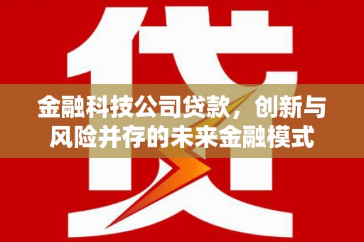 延安金融科技公司贷款，创新与风险并存的未来金融模式