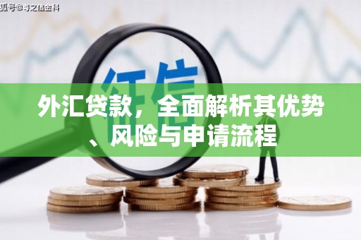 延安外汇贷款，全面解析其优势、风险与申请流程