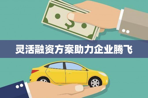 延安灵活融资方案助力企业腾飞