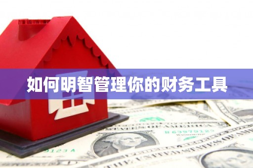 延安如何明智管理你的财务工具