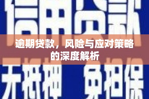 延安逾期贷款，风险与应对策略的深度解析