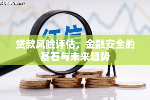 延安贷款风险评估，金融安全的基石与未来趋势