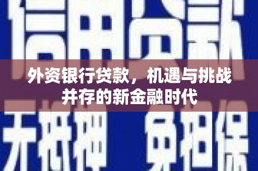 延安外资银行贷款，机遇与挑战并存的新金融时代