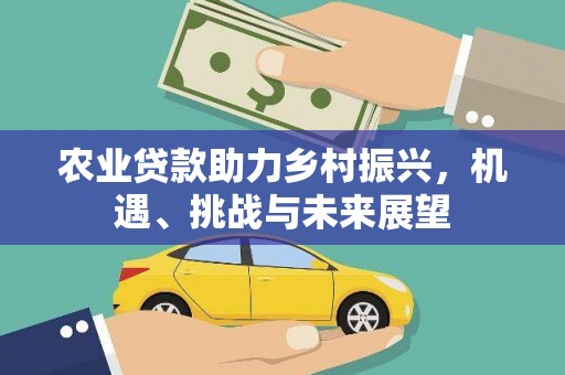 延安农业贷款助力乡村振兴，机遇、挑战与未来展望