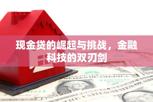 延安现金贷的崛起与挑战，金融科技的双刃剑