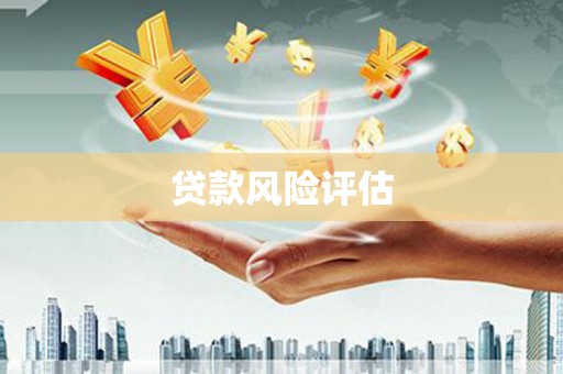 延安贷款风险评估