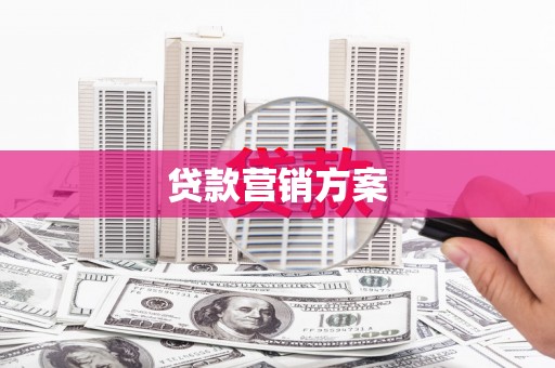 延安贷款营销方案