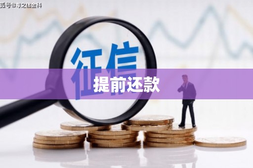 延安提前还款