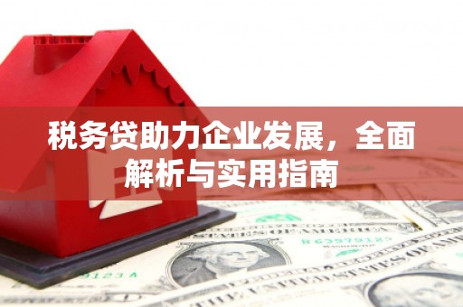 延安税务贷助力企业发展，全面解析与实用指南