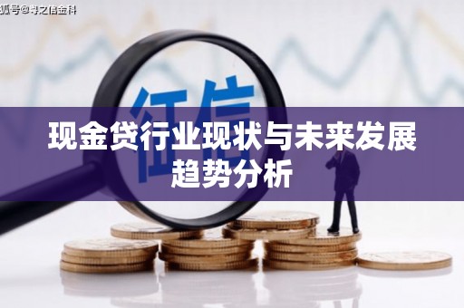 延安现金贷行业现状与未来发展趋势分析