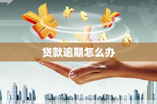 延安贷款逾期怎么办