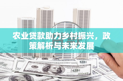 延安农业贷款助力乡村振兴，政策解析与未来发展
