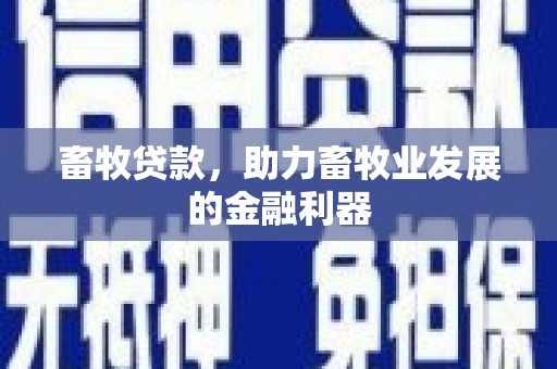 延安畜牧贷款，助力畜牧业发展的金融利器