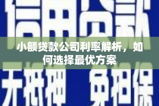 延安小额贷款公司利率解析，如何选择最优方案