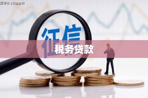 延安税务贷款