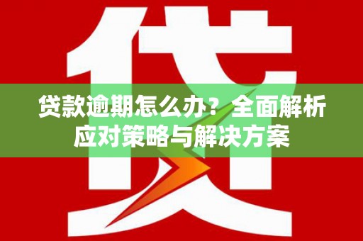 延安贷款逾期怎么办？全面解析应对策略与解决方案