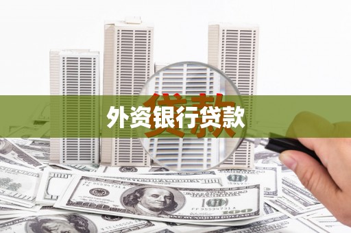 延安外资银行贷款