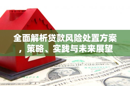 延安全面解析贷款风险处置方案，策略、实践与未来展望