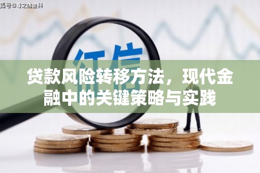 延安贷款风险转移方法，现代金融中的关键策略与实践