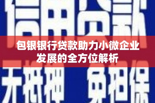 延安包银银行贷款助力小微企业发展的全方位解析