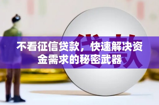 延安不看征信贷款，快速解决资金需求的秘密武器