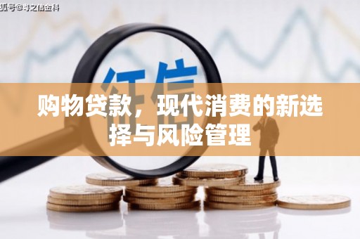 延安购物贷款，现代消费的新选择与风险管理