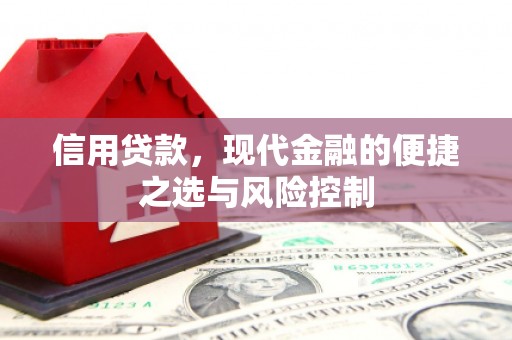 延安信用贷款，现代金融的便捷之选与风险控制