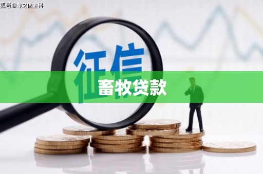 延安畜牧贷款