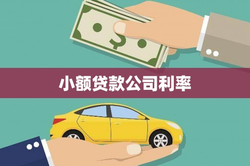 延安小额贷款公司利率
