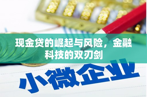 延安现金贷的崛起与风险，金融科技的双刃剑