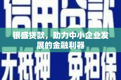 延安银盛贷款，助力中小企业发展的金融利器