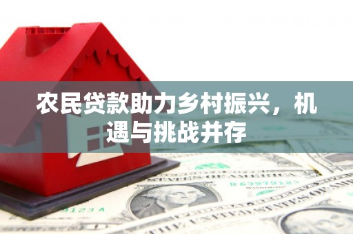 延安农民贷款助力乡村振兴，机遇与挑战并存