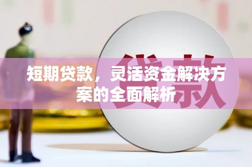 延安短期贷款，灵活资金解决方案的全面解析