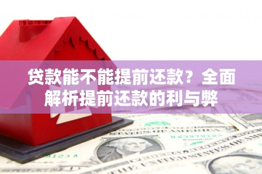 延安贷款能不能提前还款？全面解析提前还款的利与弊