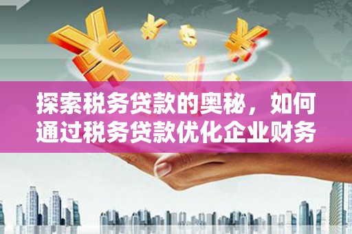 延安探索税务贷款的奥秘，如何通过税务贷款优化企业财务