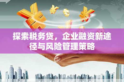 延安探索税务贷，企业融资新途径与风险管理策略