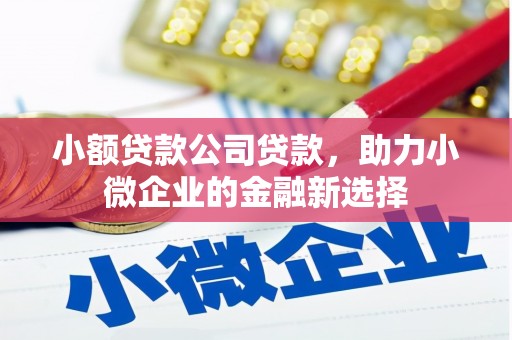 延安小额贷款公司贷款，助力小微企业的金融新选择