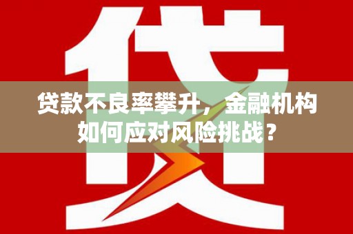 延安贷款不良率攀升，金融机构如何应对风险挑战？