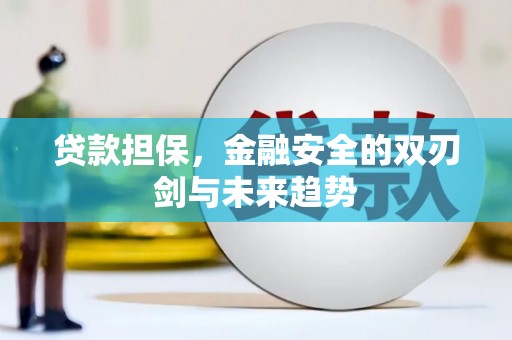 延安贷款担保，金融安全的双刃剑与未来趋势