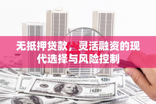 延安无抵押贷款，灵活融资的现代选择与风险控制