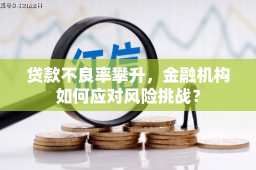 延安贷款不良率攀升，金融机构如何应对风险挑战？