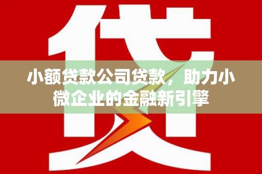 延安小额贷款公司贷款，助力小微企业的金融新引擎