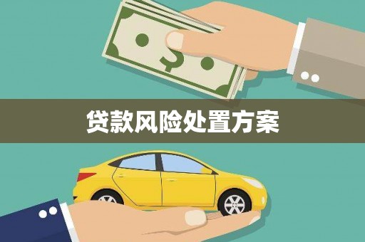 延安贷款风险处置方案