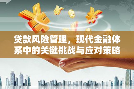 延安贷款风险管理，现代金融体系中的关键挑战与应对策略